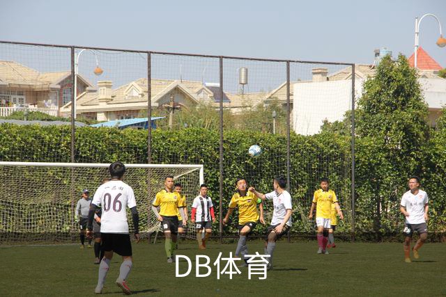 DB体育公司简介